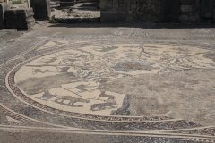 06-Beautifull preserved mosaic